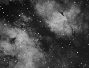 IC1318 Ha.jpg