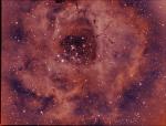 NGC2237 BiColor.jpg