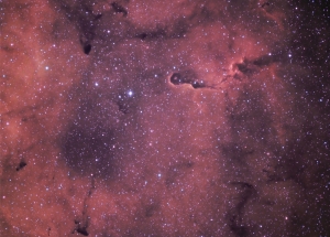 IC 1396 color.jpg