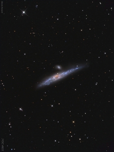 ngc4631_2014_1600.jpg