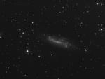 NGC 4236 bw.jpg