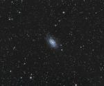 NGC 2403 .jpg