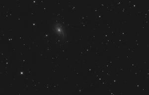NGC772 5x120s-L Crop1x1 1920.jpg
