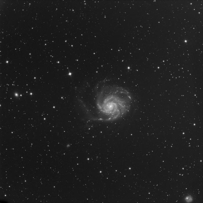 M101L600s2000 v1.jpg