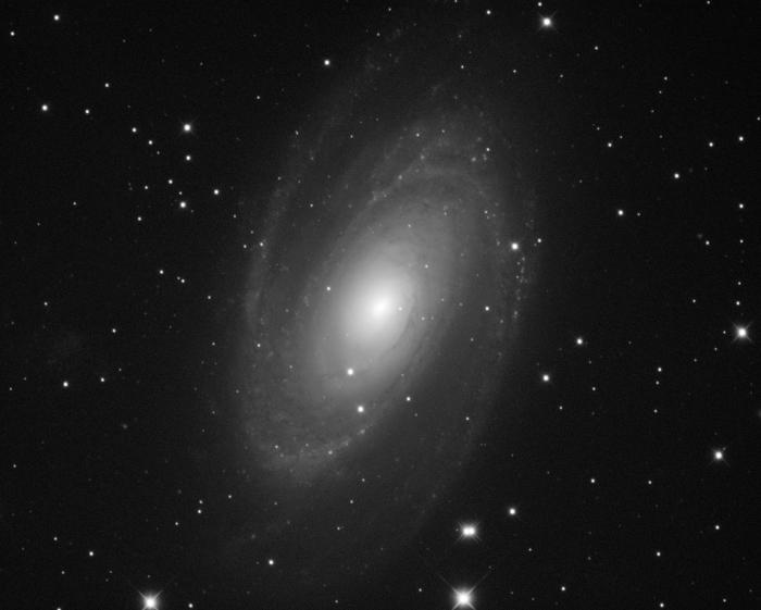 M81 600sj.jpg
