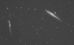 NGC4631 1xL600xBinn1x1Lddjpgg.jpg