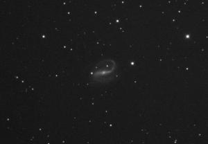 NGC7479 L-001L.jpg