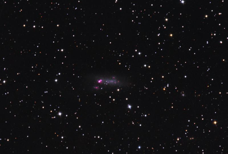 NGC2366_1x1.jpg