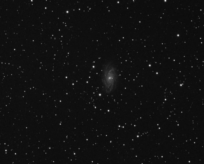 NGC2336-001Lj.jpg