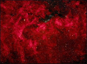 NGC6914 x7x300s-HaLRGB V2jpg.jpg