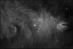 NGC2264 Kadr V2.jpg