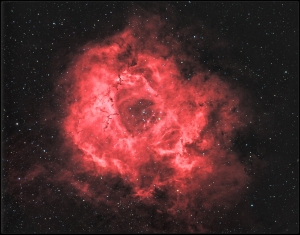 NGC2239 V4jpg.jpg