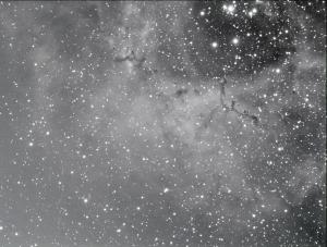 NGC2239x7x600s End1.jpg