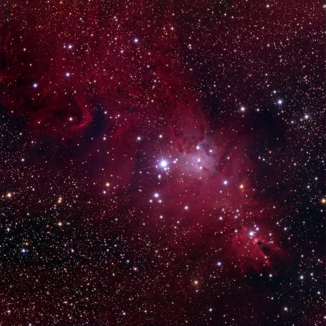 NGC2264 lorKI.jpg