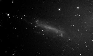 NGC4236-001L.jpg