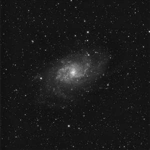 M33 L V1 ca.jpg