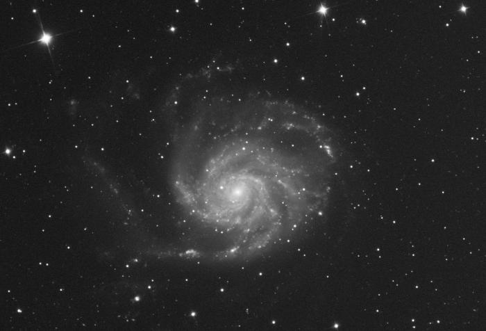M101L600scrop v1.jpg