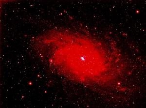 M33 Ultra Ha.jpg