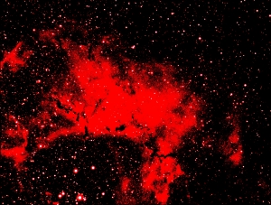 NGC2239 Ultra.jpg