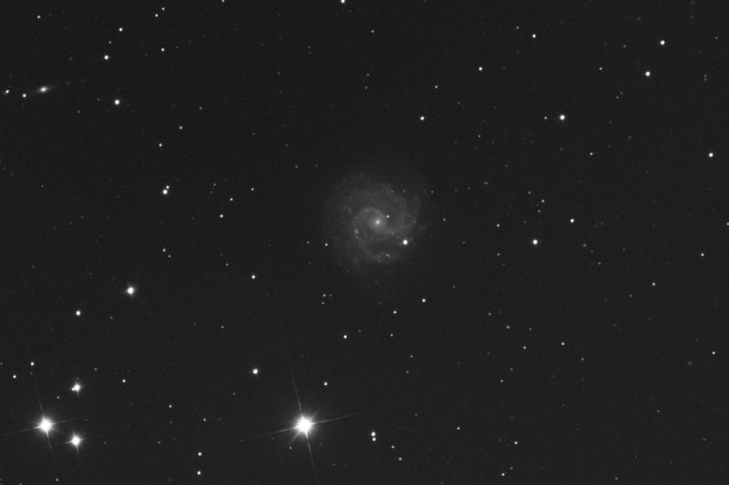 NGC3184-001Ljcrop.jpg