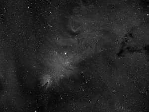 NGC2264 Ha1200sxBinn1x1 DDjpg.jpg
