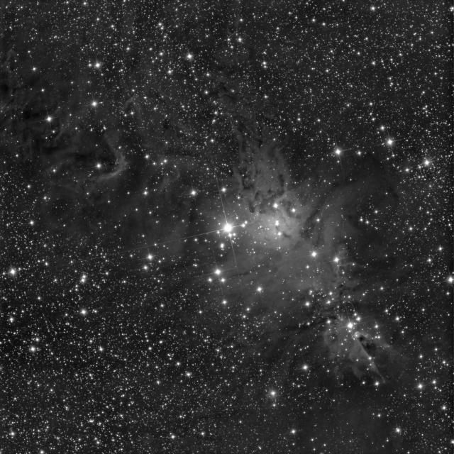 NGC2264 v2j1650.jpg