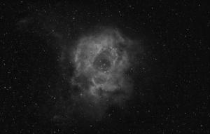 NGC_2237_Ha_bw.jpg