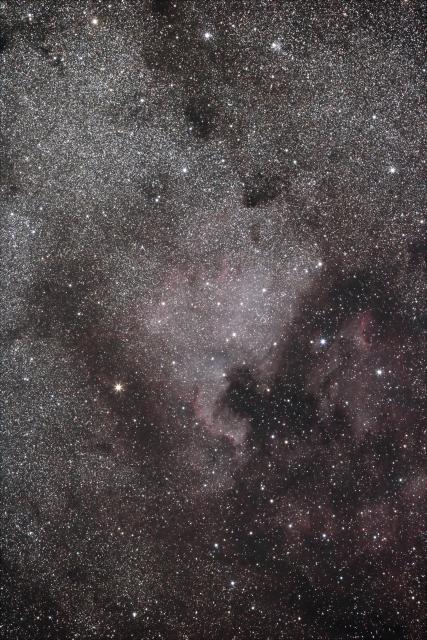 NGC7000 wer 2 .jpg