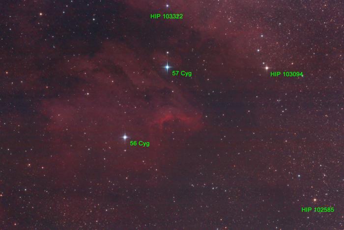 NGC7000_2_edited-1.jpg