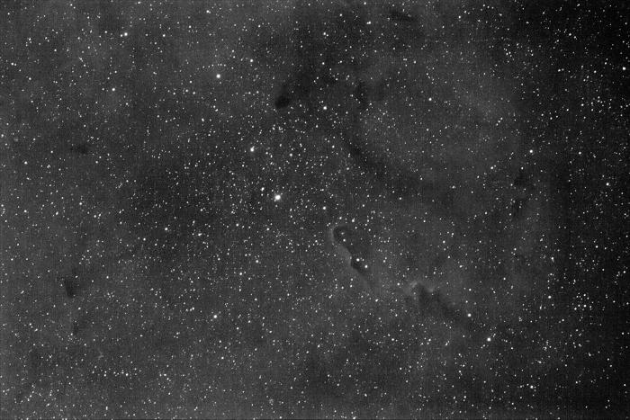 Trąba Słonia IC1396a.jpg