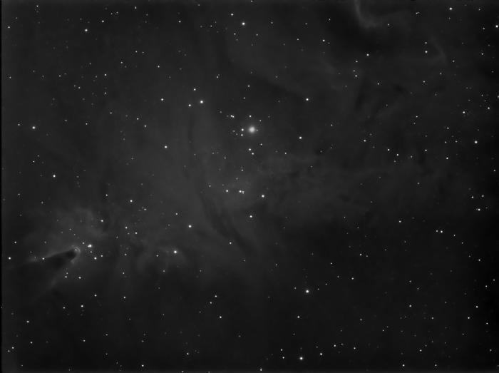 Copy of NGC2264(oc)1.jpg