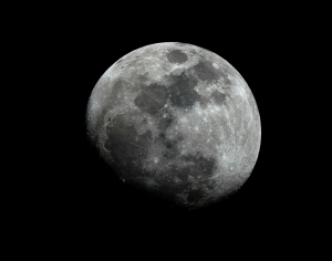 księżyc 11.02.2014 canon 550d.jpg