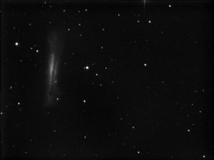 NGC3628 20140407 abe.jpg