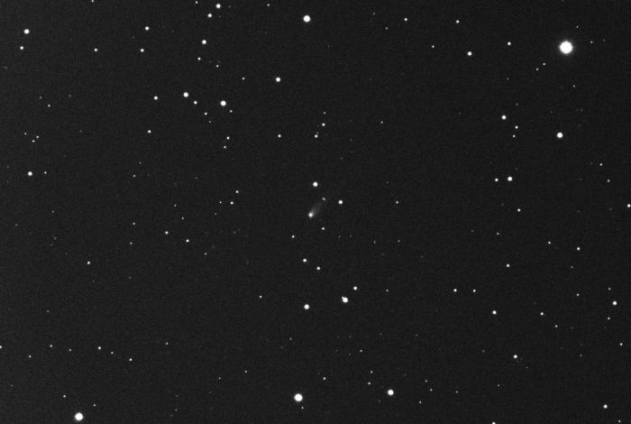 kometa johnson 01.jpg