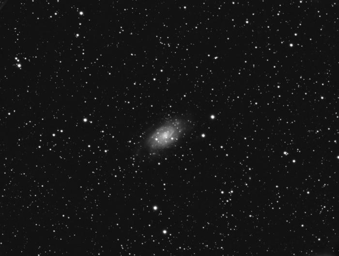 161230   NGC 2403   9x600   CLS.jpg