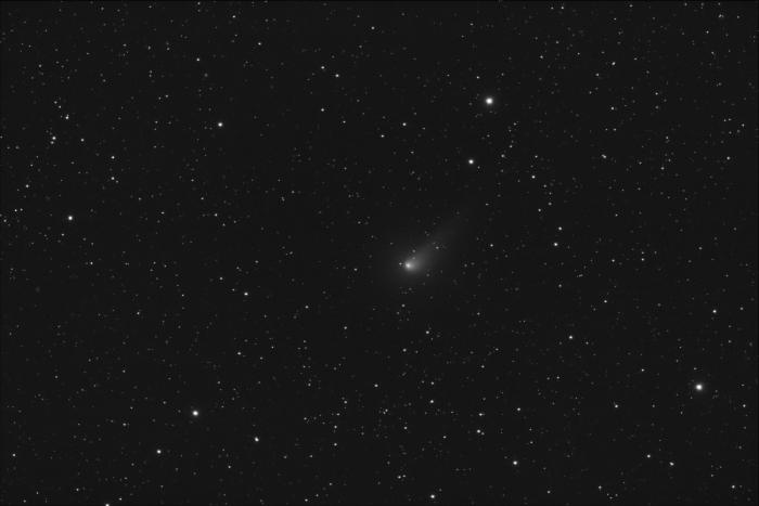 Kometa Johnson   w2.jpg