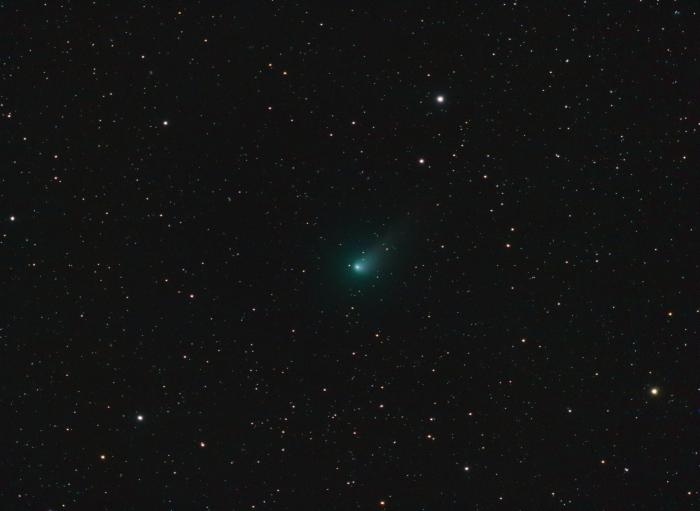 Kometa Johnson   3x300.jpg