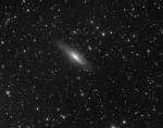 NGC7331_1bw.jpg