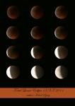 Lunar Eclipse low res.jpg