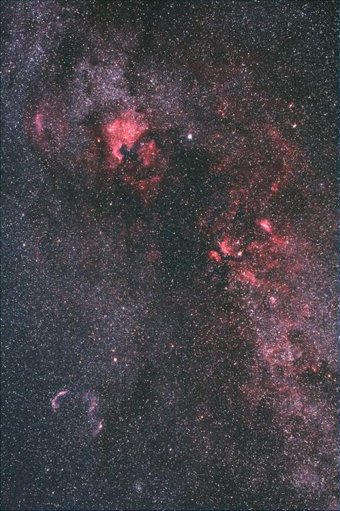 cygnus v1.jpg