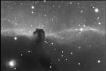 horshead nebula.jpg