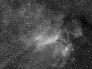 ic4628_H_1680.jpg