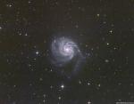 M101__1_of_1_.jpg