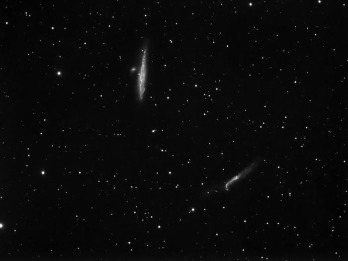 NGC4631_5.jpg