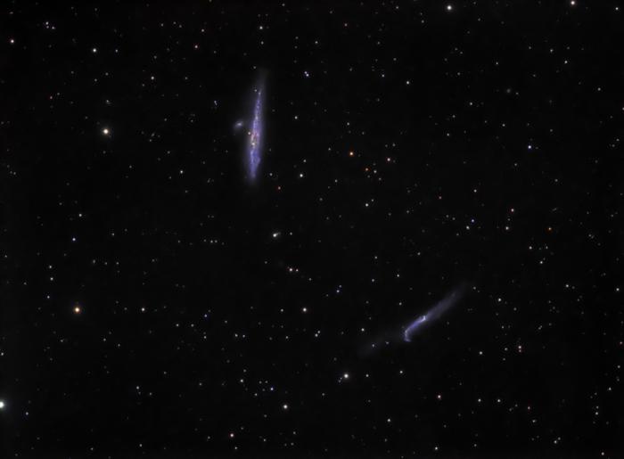 NGC4631_6c.jpg