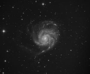 M101_2014_web.jpg
