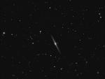 NGC4565-L-resize.jpg
