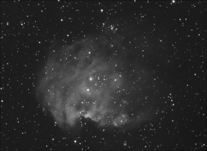 NGC2175 kopia_3.jpg