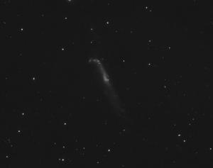 NGC_4656.jpg