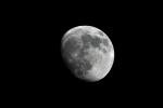 Moon20052005.jpg